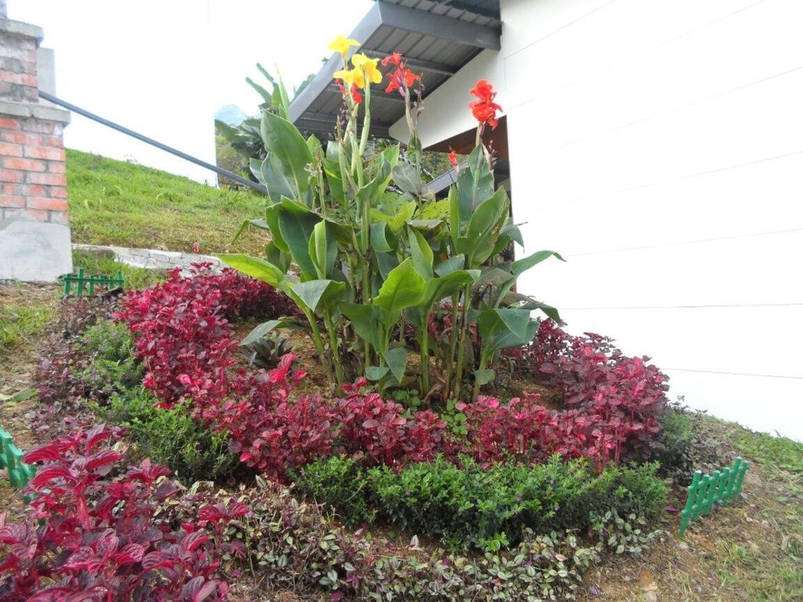 Ayana Holiday Resort Kampong Kundassan Exteriör bild